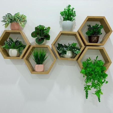 Bee Homestay توي هوا المظهر الخارجي الصورة